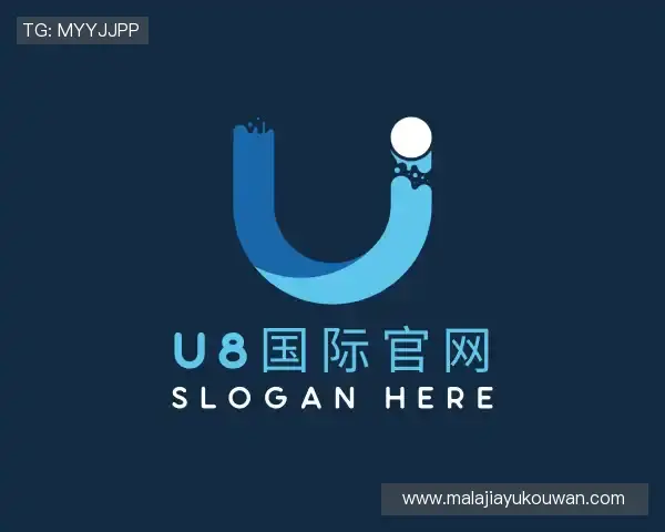 介绍U8国际官网